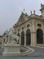 Austria Wien